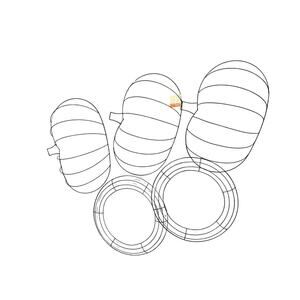 NWT Wreath Form Set - 3 Pumpkin & 2 Circular - Floral Garden